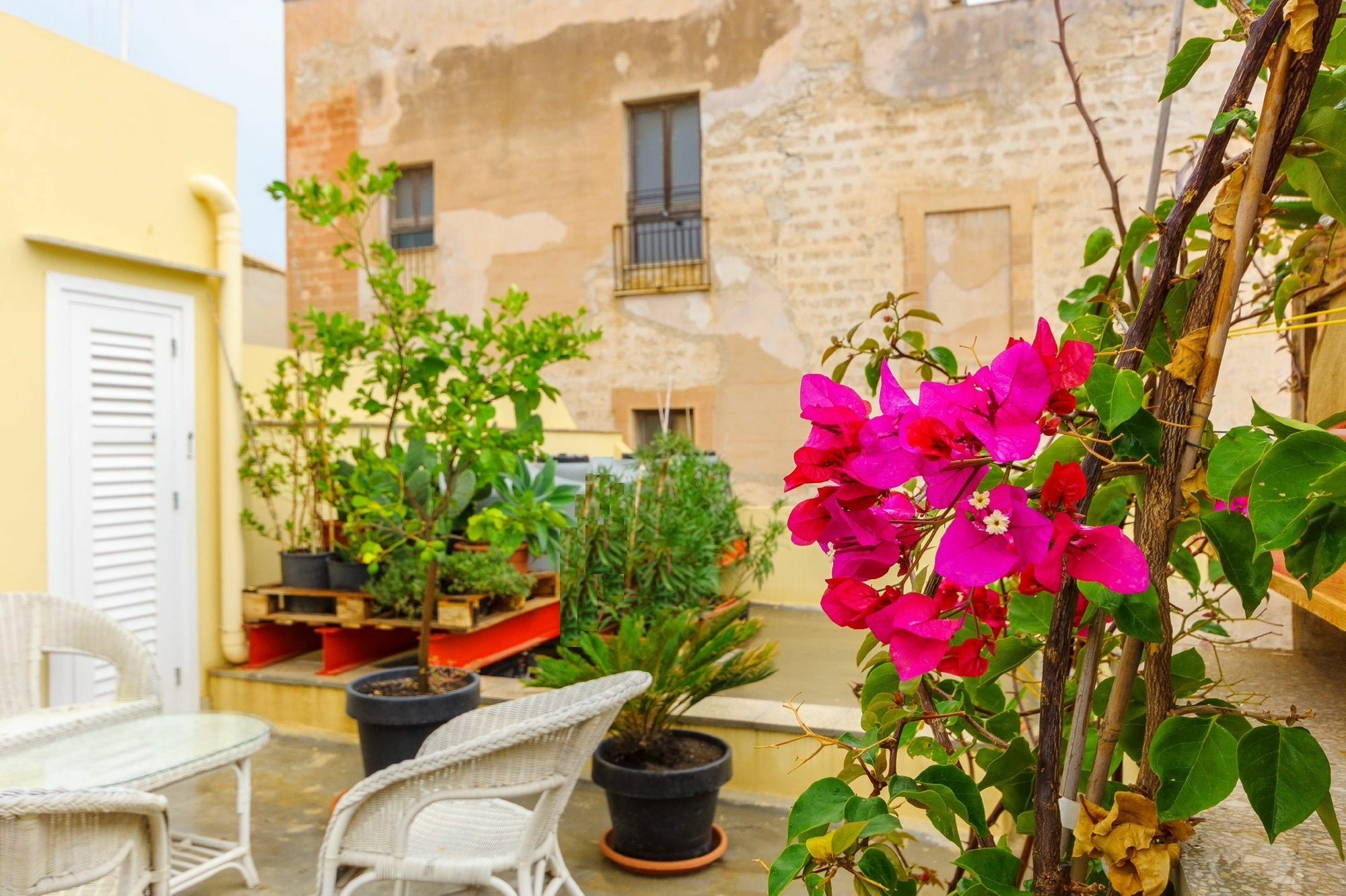 Le Vie Di Trapani Appartement Buitenkant foto